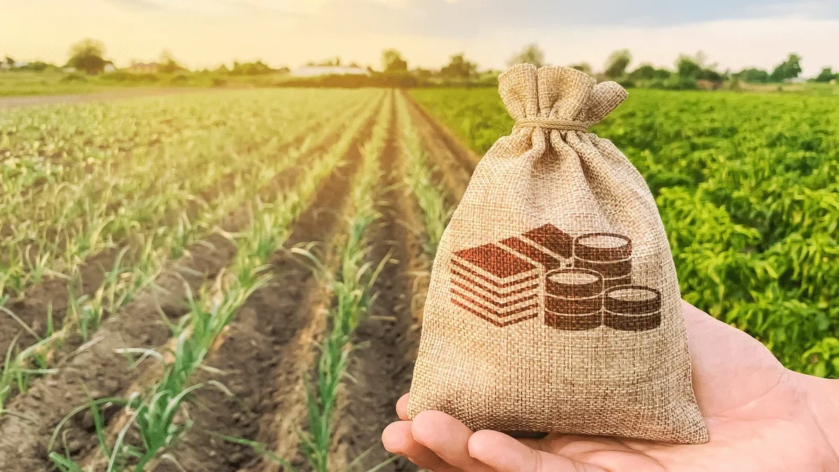 השקעה בקרקע חקלאית – מה חשוב לבדוק לפני שרוכשים?