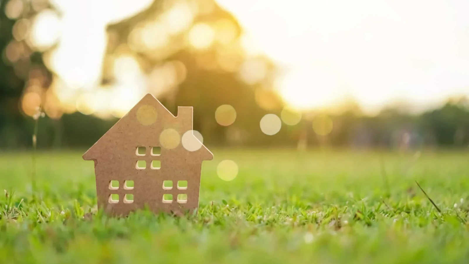 מיהם המשקיעים השקטים שיודעים לזהות קרקעות המכונות בפיהם כ"יהלומים המונחים בקרקע"